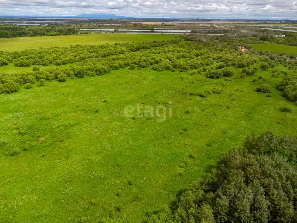 участок в хабаровский край, хабаровск ул. юности, 32 (12.3 сот.) - Фото 1