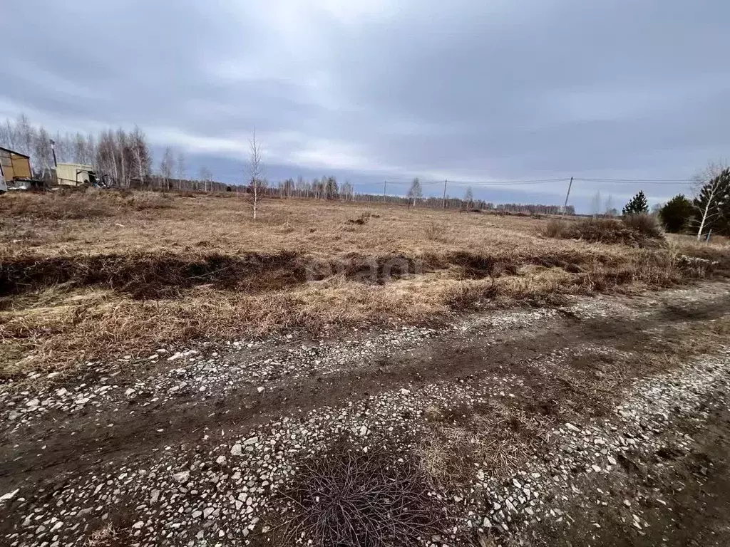 участок в новосибирская область, новосибирский район, морской . - Фото 1