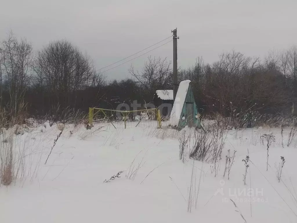 Участок в Псковская область, Островский район, Бережанская волость, ... - Фото 1