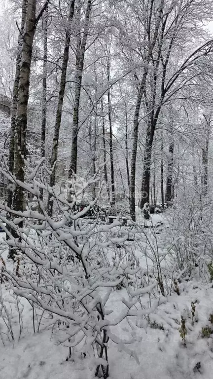2-к кв. Санкт-Петербург ул. Маршала Тухачевского, 5К3 (44.4 м) - Фото 1