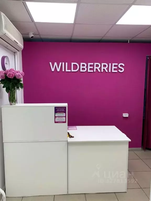 Помещение свободного назначения в Брянская область, Брянск ул. ... - Фото 1