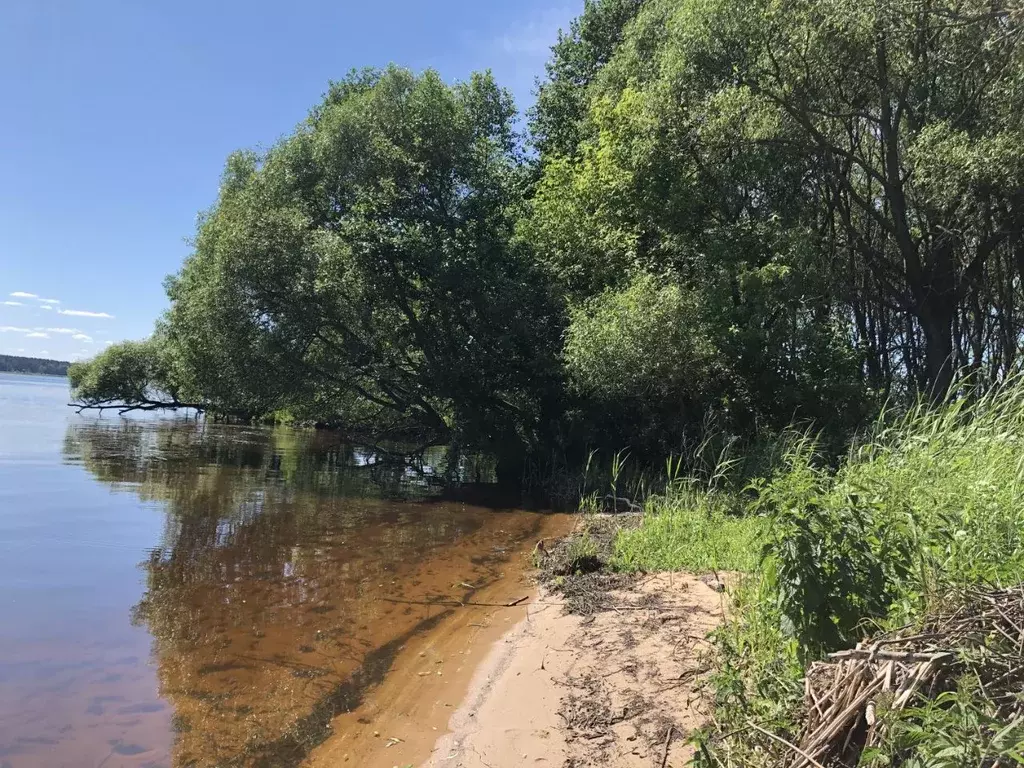 Участок в Тверская область, Кашинский городской округ, д. Волжанка  ... - Фото 0