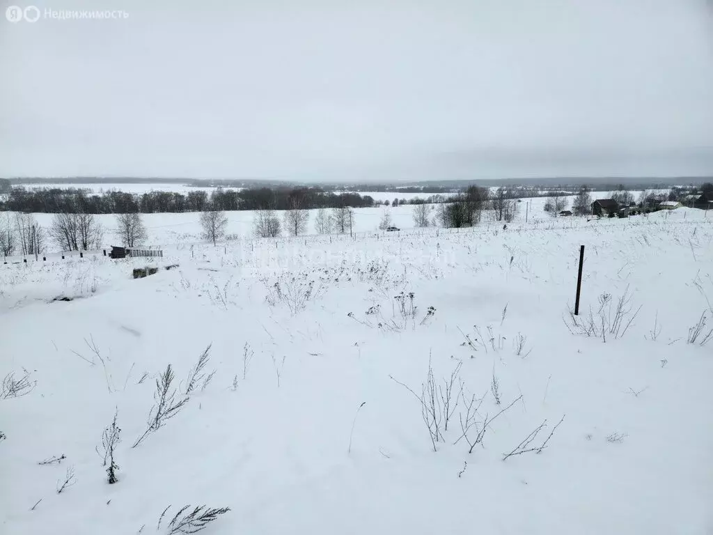 Участок в Владимирская область, Собинский муниципальный округ, деревня ... - Фото 2