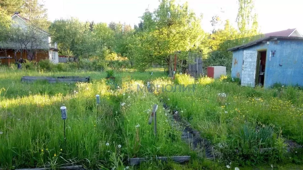 Дом в Нижегородская область, Богородский муниципальный округ, Лары СНТ ... - Фото 0