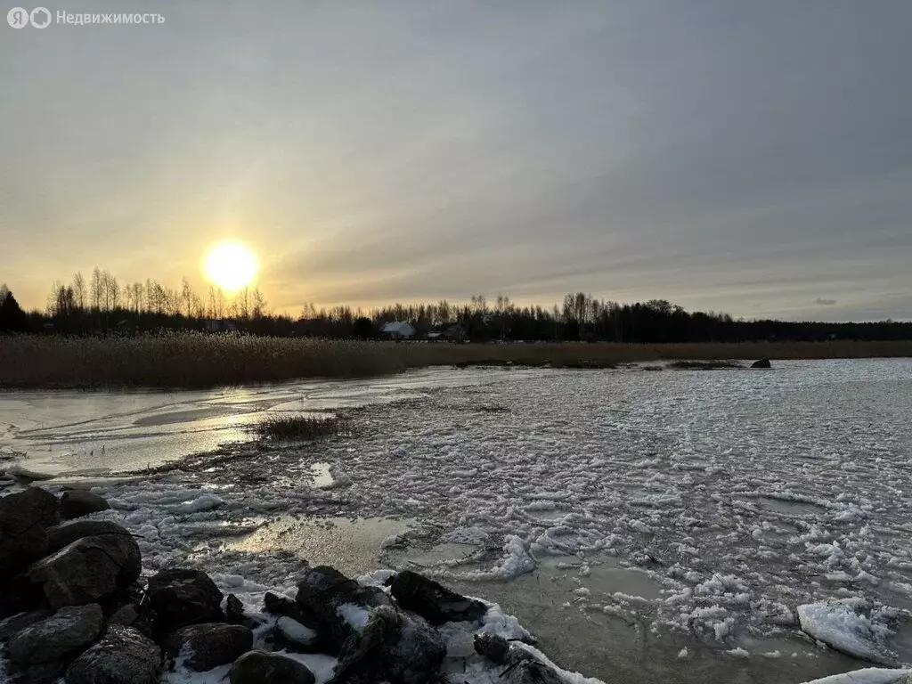 Участок в Выборгский район, Приморское городское поселение, посёлок ... - Фото 0