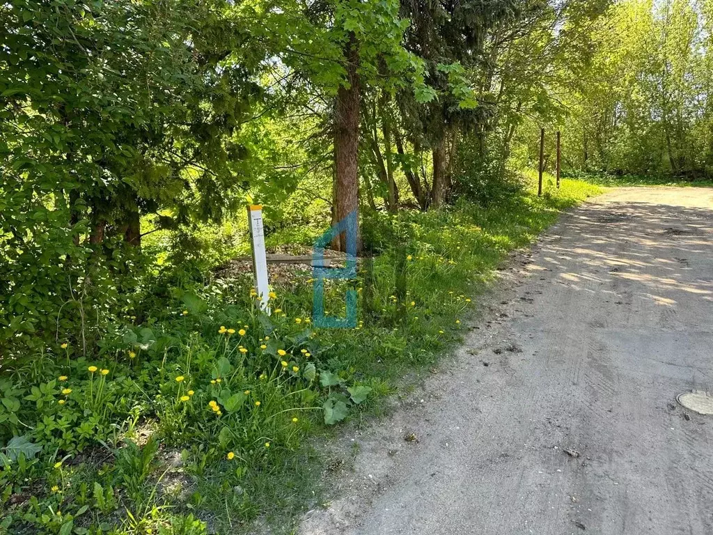 Участок в Московская область, Клин Боровая ул. (10.0 сот.) - Фото 1
