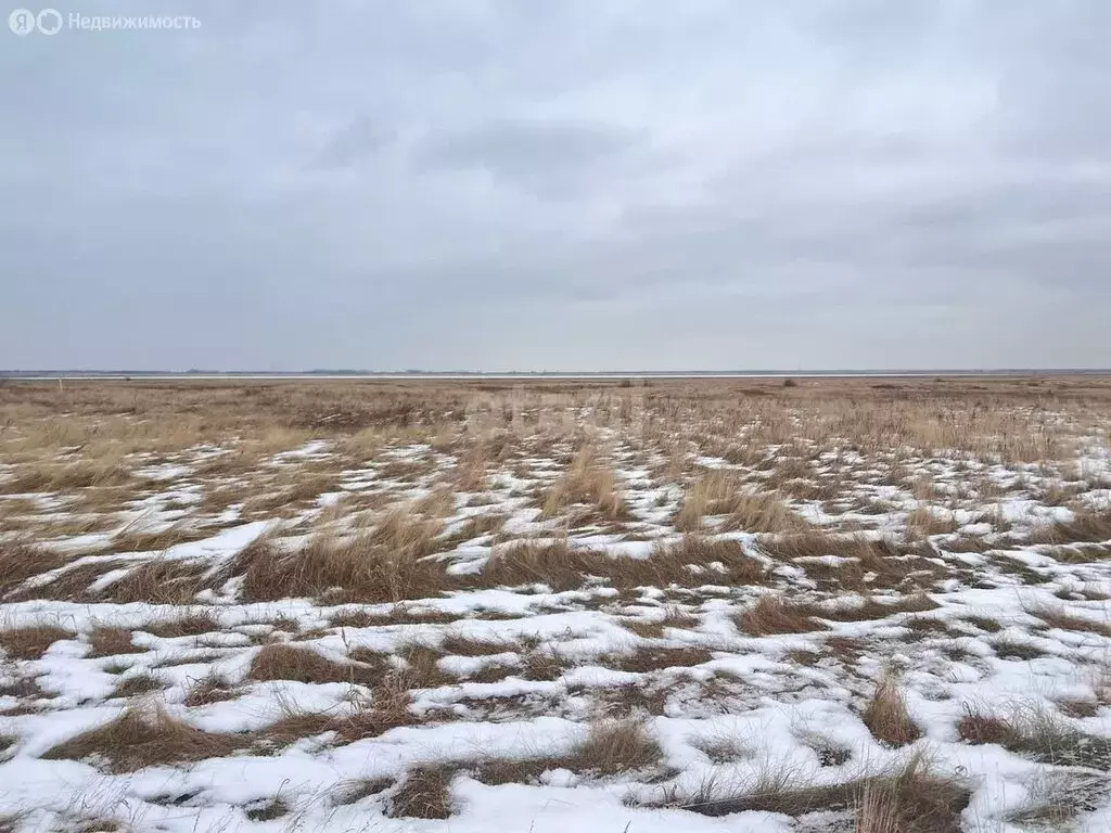 Участок в посёлок Петровский, Курская улица (7.4 м) - Фото 0