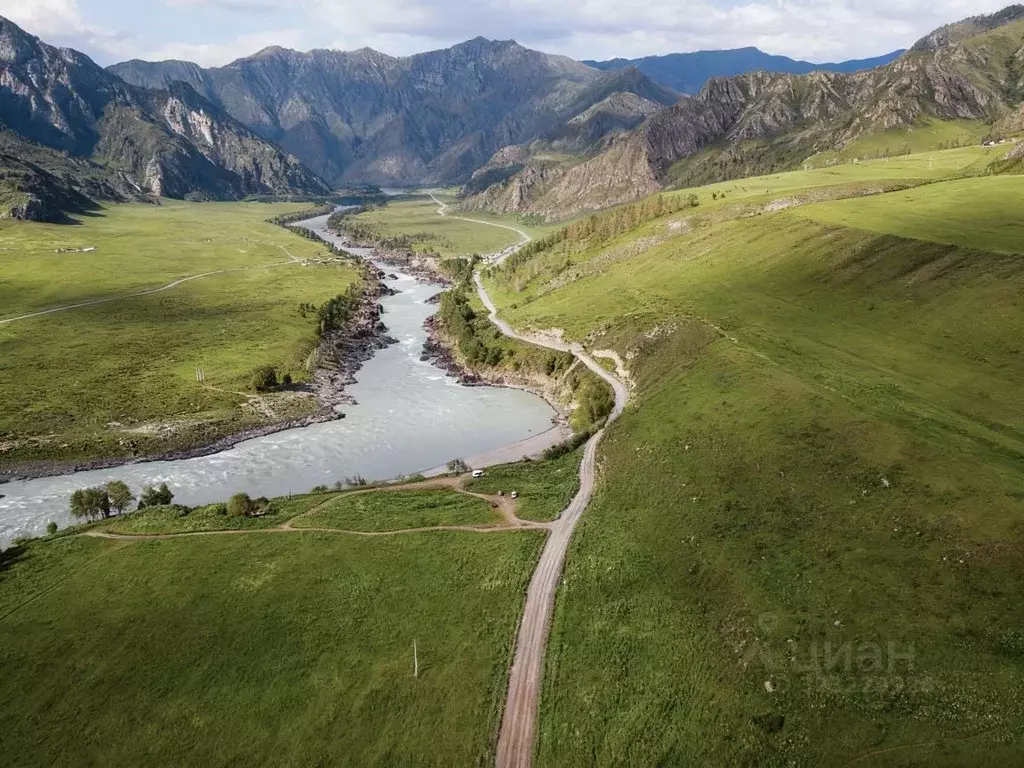 Участок в Алтай, Чемальский район, с. Куюс  (43.82 сот.) - Фото 1