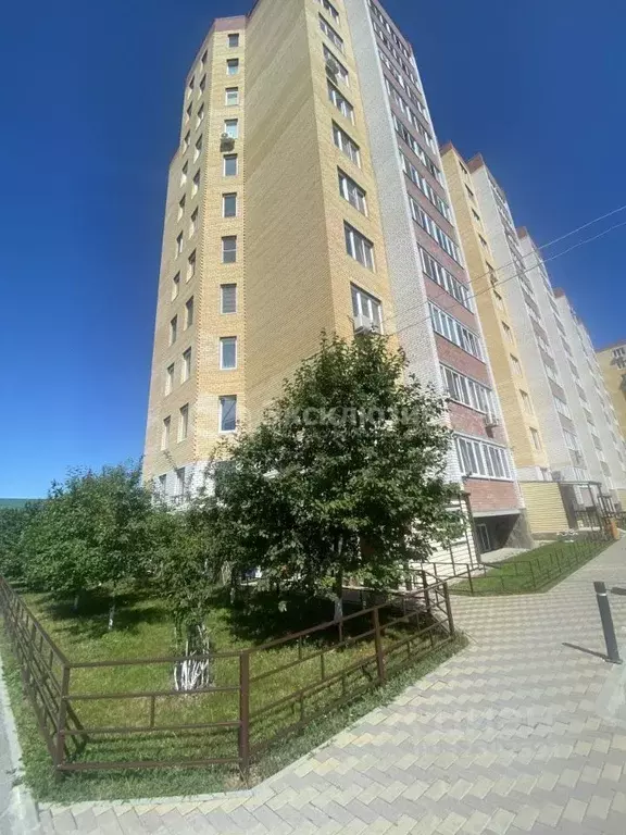 1-к кв. Тюменская область, Тюмень ул. Червишевский Тракт, 58 (47.0 м) - Фото 2