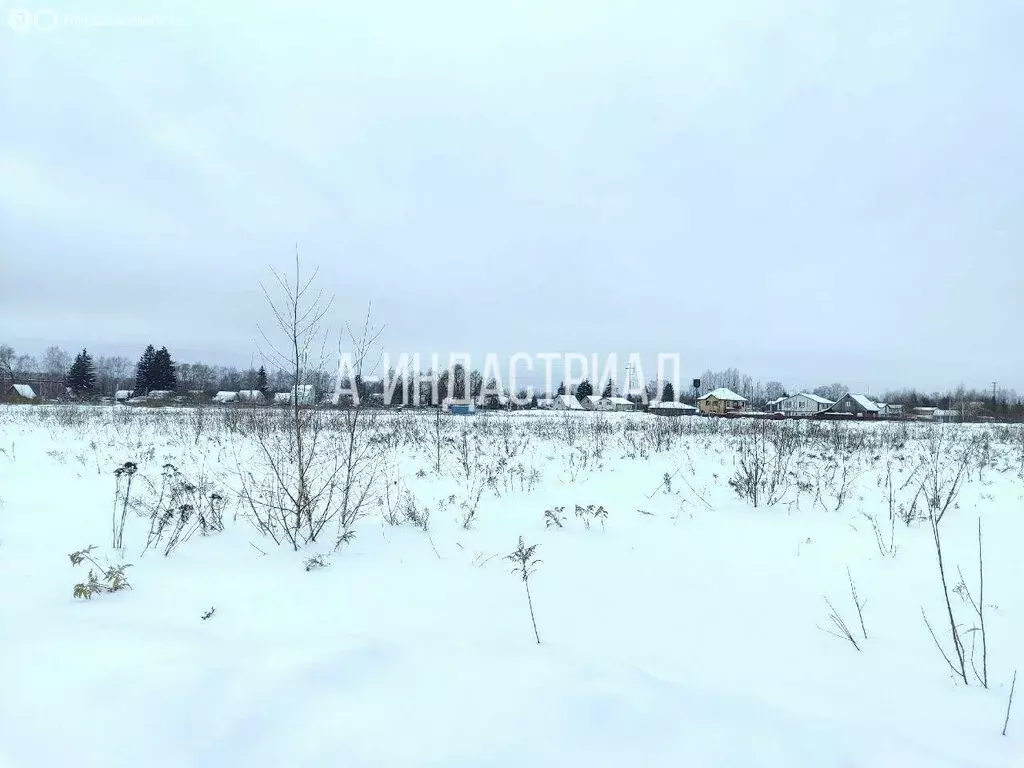 Участок в деревня Гальчино, бульвар 60-летия СССР, 133 (50 м) - Фото 2