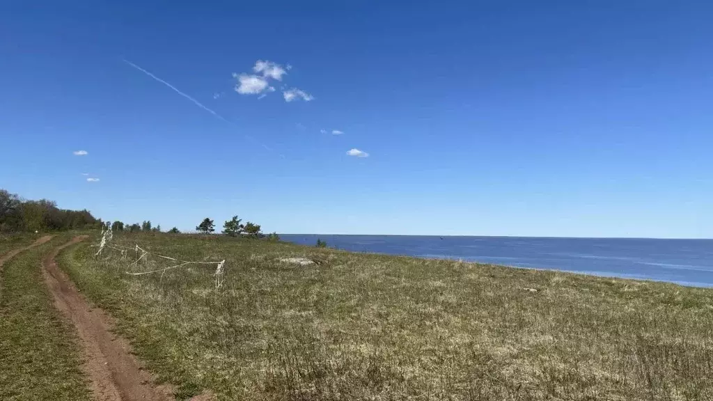Участок в Новгородская область, Шимское городское поселение  (15.0 ... - Фото 1
