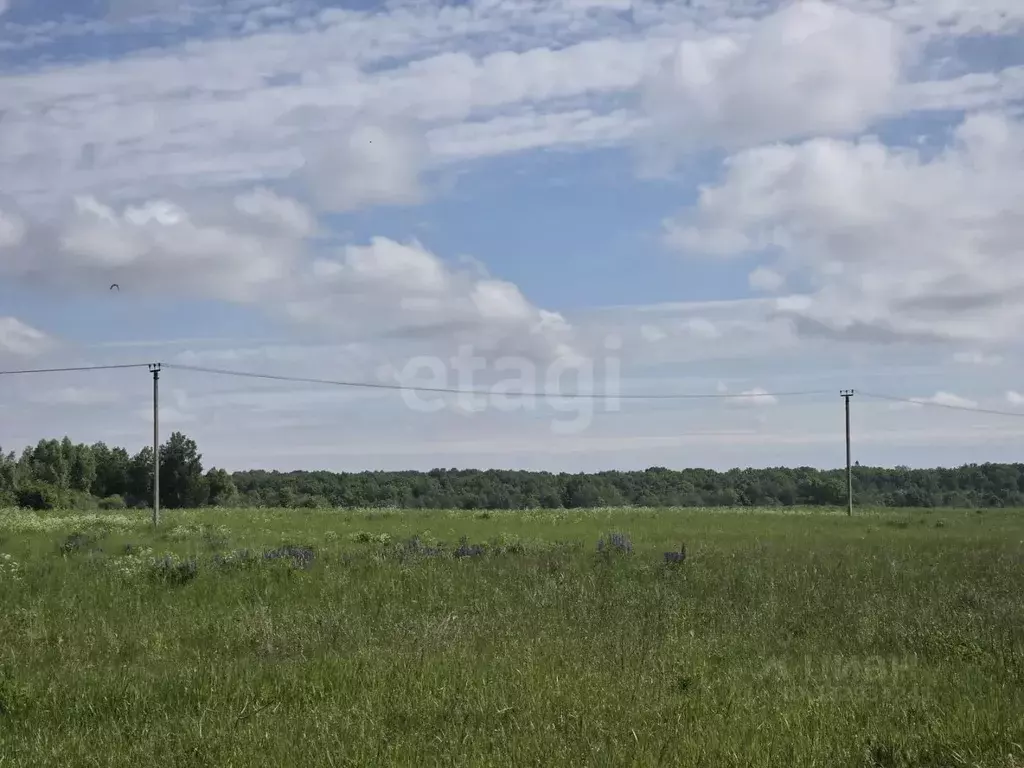 Участок в Калининградская область, Озерск  (6000.0 сот.) - Фото 2
