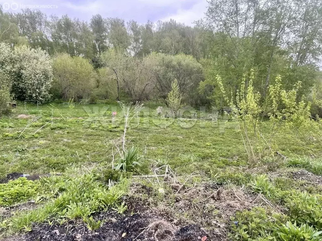 Участок в село Раздольное, Зелёная улица (7.14 м) - Фото 1