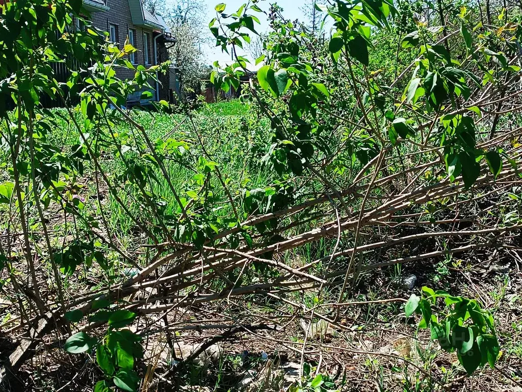 Участок в Ростовская область, Ростов-на-Дону Сторожевая ул. (11.0 ... - Фото 2