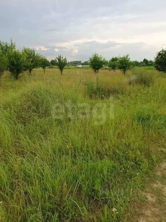 Участок в Новосибирская область, Новосибирский район, Толмачевский ... - Фото 1
