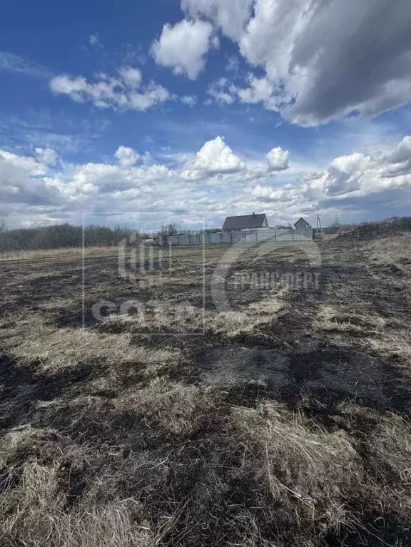 Участок в Воронежская область, с. Новая Усмань  (12.0 сот.) - Фото 1