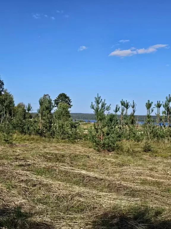 Участок в Ленинградская область, Приозерский район, Петровское с/пос  ... - Фото 2