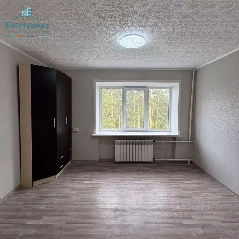 1-к кв. Ульяновская область, Димитровград ул. М. Тореза, 2А (18.1 м) - Фото 0