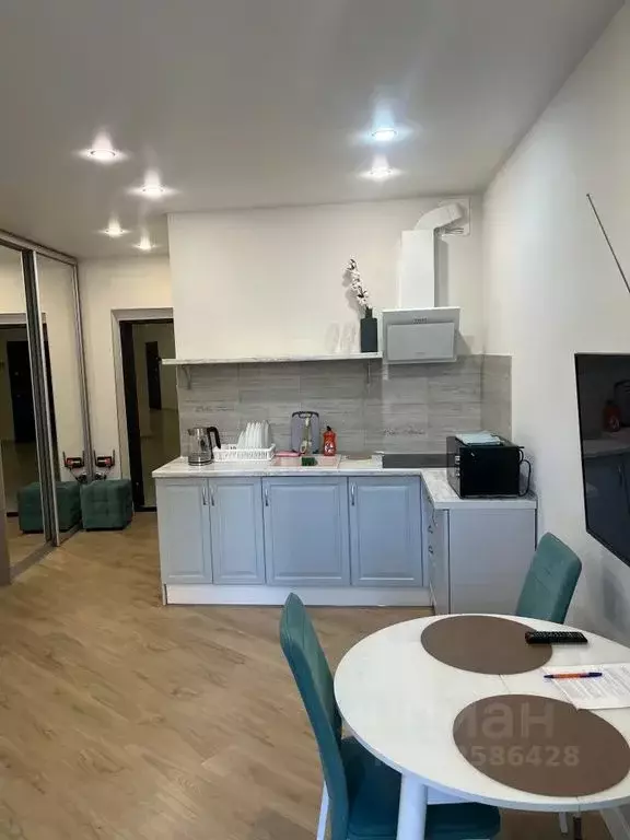 1-к кв. Краснодарский край, Сочи Светлана мкр, ул. Депутатская, 10 ... - Фото 2