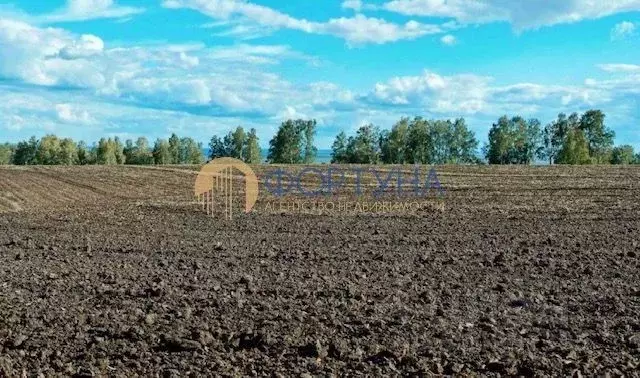 Участок в Белгородская область, Новооскольский муниципальный округ, с. ... - Фото 1