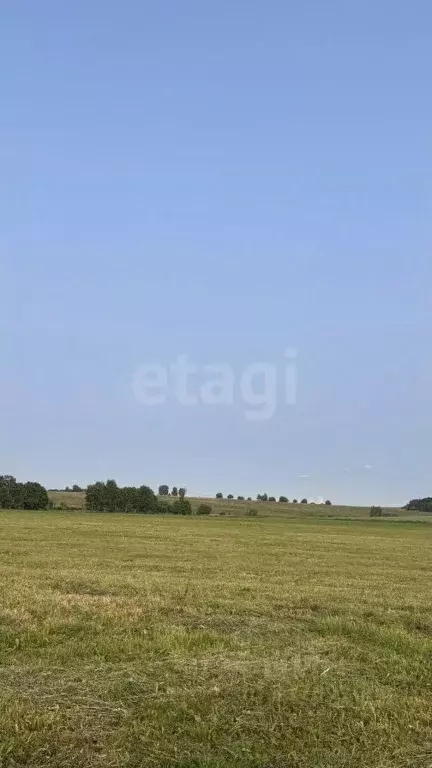 Участок в Тульская область, Тула городской округ, д. Прилепские ... - Фото 1