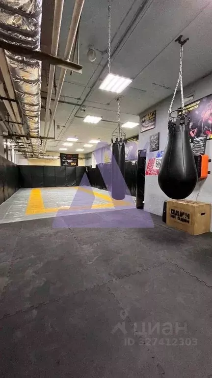 Помещение свободного назначения в Алтайский край, Новоалтайск 7-й мкр, ... - Фото 1