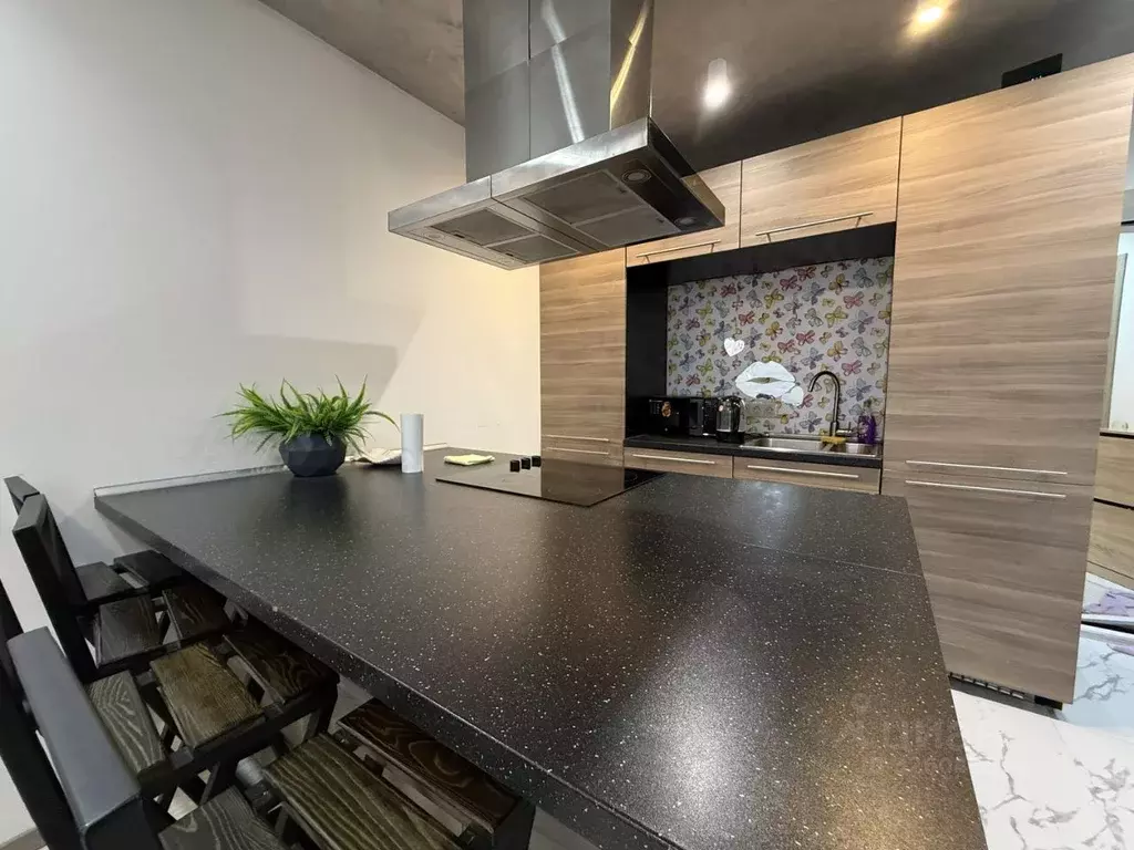 2-к кв. Краснодарский край, Сочи Виноградная ул., 4 (45.0 м) - Фото 2