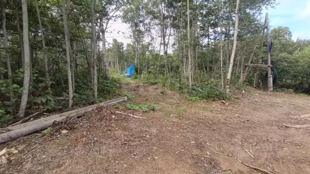 Участок в Башкортостан, Туймазы  (9.1 сот.) - Фото 1