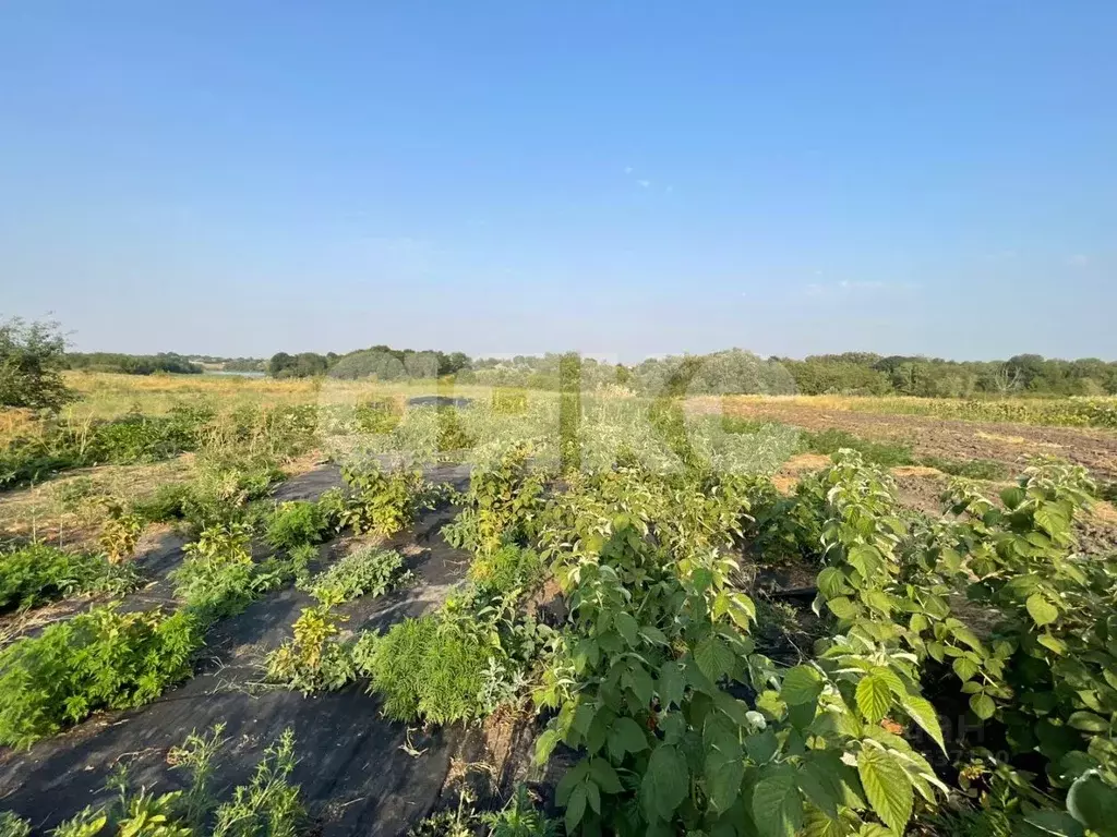 Дом в Адыгея, Гиагинский район, Келермесское с/пос, Келермесская ст-ца ... - Фото 2