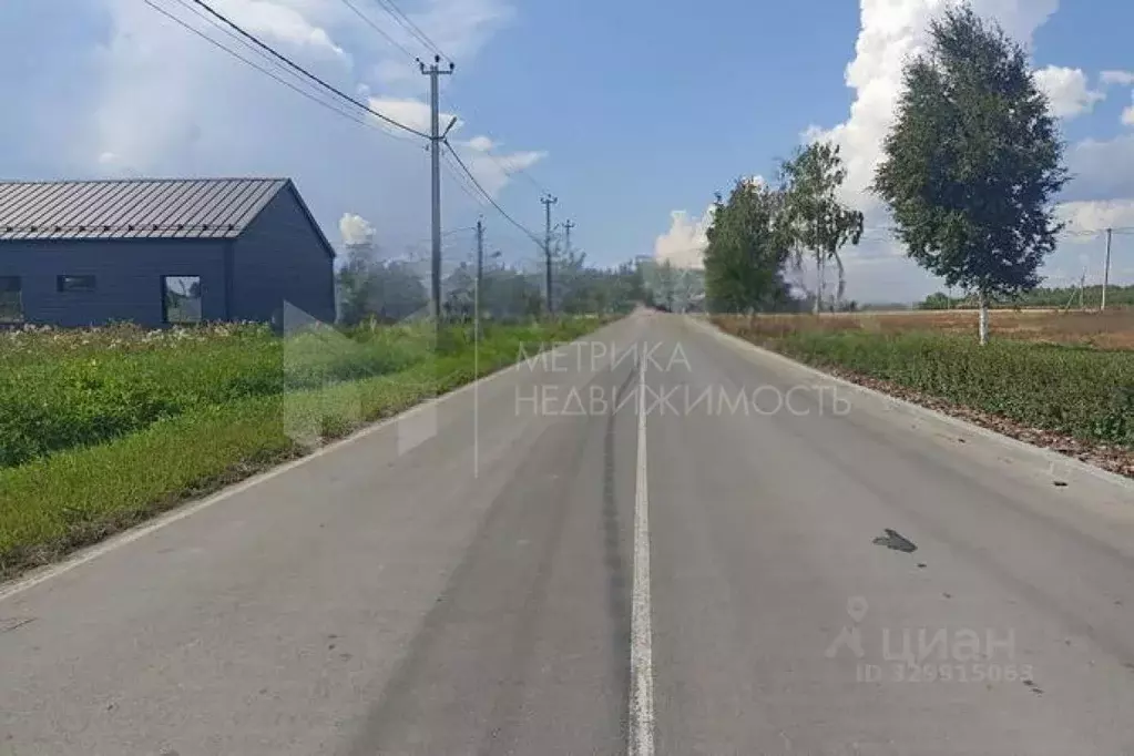 Участок в Тюменская область, Тюмень СОСН Березовое Озеро тер.,  (8.0 ... - Фото 1