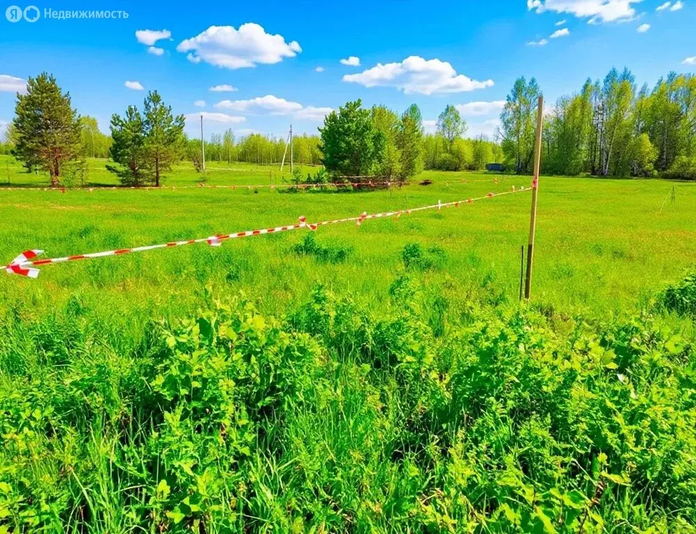 Участок в Нижегородская область, муниципальный округ Бор, село ... - Фото 1