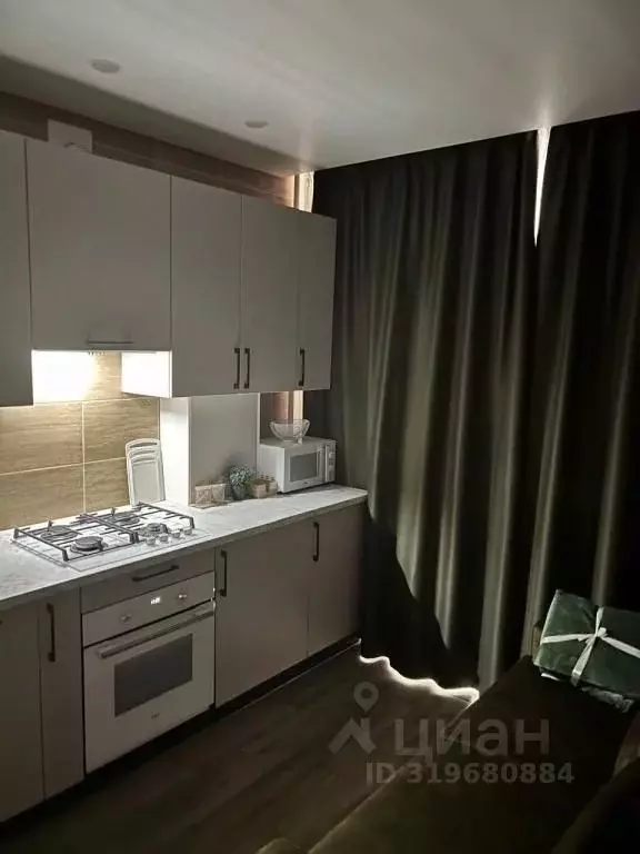 1-к кв. Калининградская область, Зеленоградский муниципальный округ, ... - Фото 2