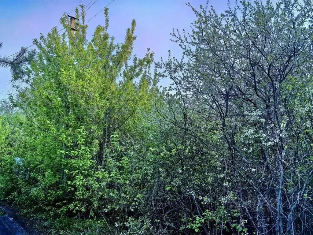 Участок в Самарская область, Красный Яр с/пос, пос. Водный ул. ... - Фото 1