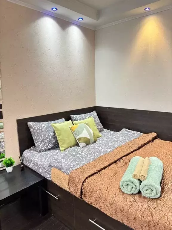 1-к кв. Московская область, Солнечногорск городской округ, Андреевка ... - Фото 2