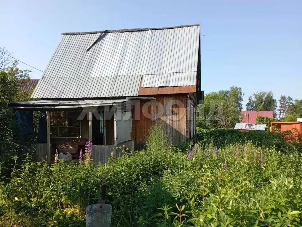 Дом в Новосибирская область, Новосибирский район, Березовский ... - Фото 1