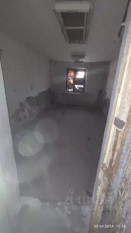 Помещение свободного назначения в Новосибирская область, Новосибирск ... - Фото 2