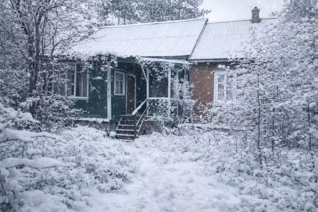 Дом в Московская область, Богородский городской округ, Ивушка СНТ 18 ... - Фото 2