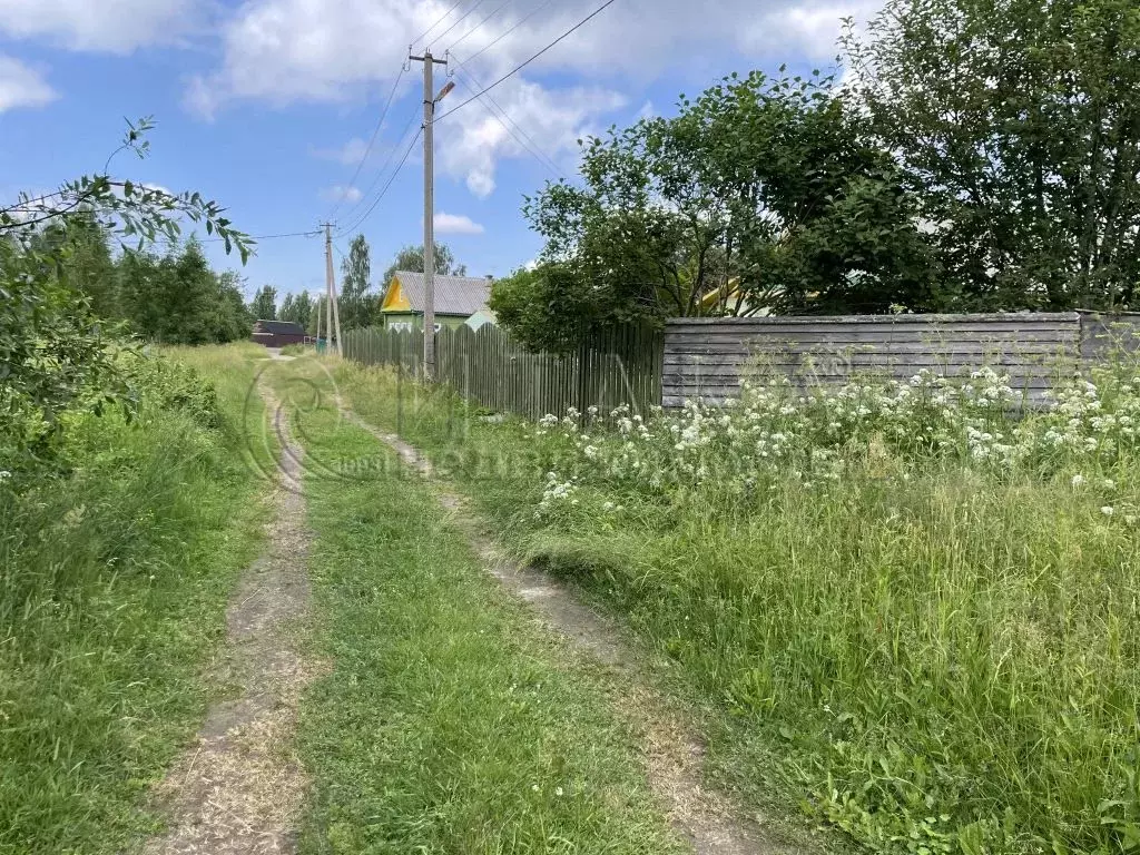 Участок в Ленинградская область, Лодейнопольский район, Алеховщинское ... - Фото 0