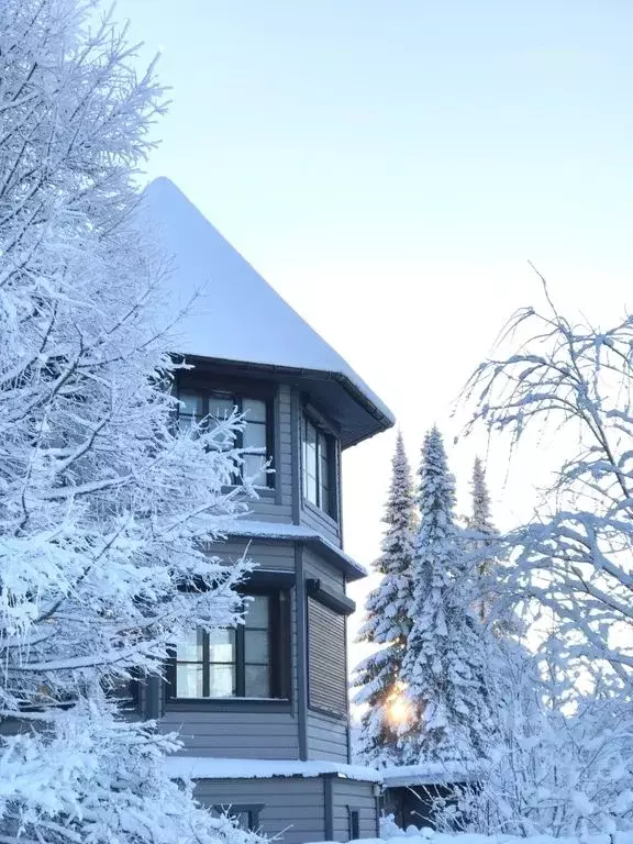 Дом в Ленинградская область, Приозерский район, Раздольевское с/пос, ... - Фото 1