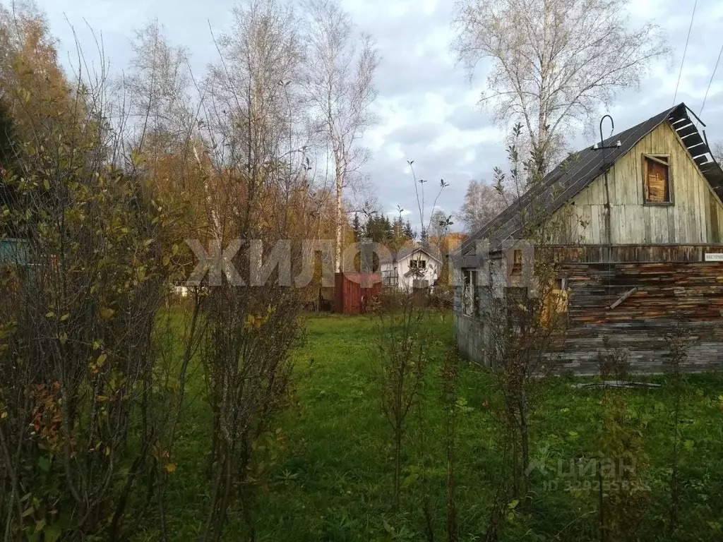 Участок в Новосибирская область, Новосибирск Звездочка садовое ... - Фото 2