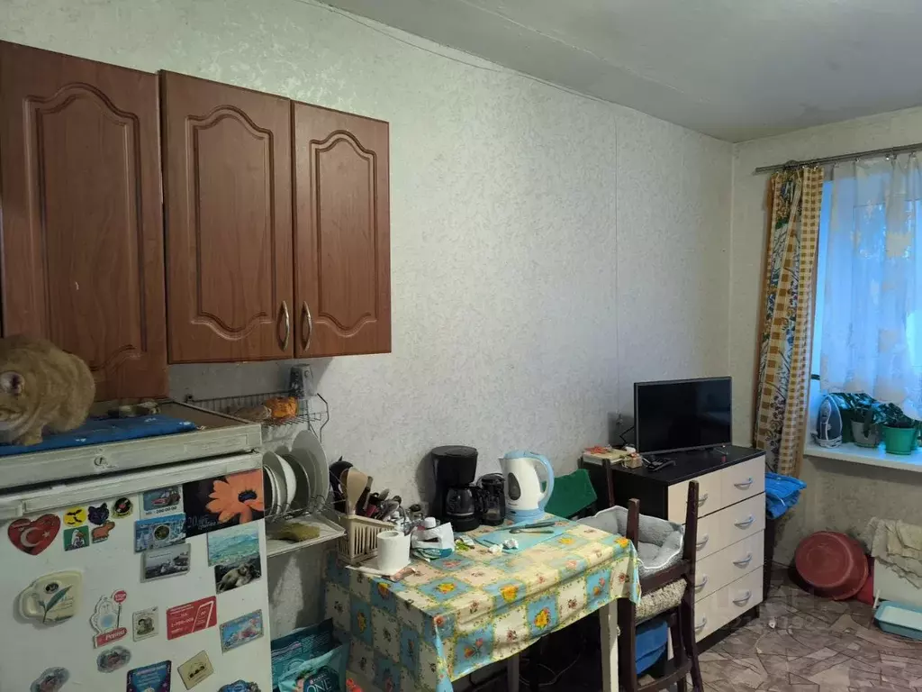 Комната Пермский край, Пермь Грузинская ул., 11 (13.5 м) - Фото 2