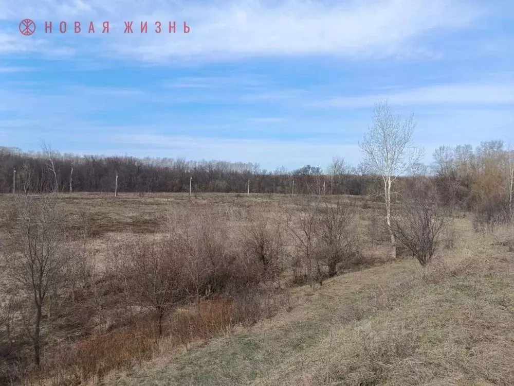 Участок в Самарская область, Волжский район, Рождествено с/пос, с. ... - Фото 2