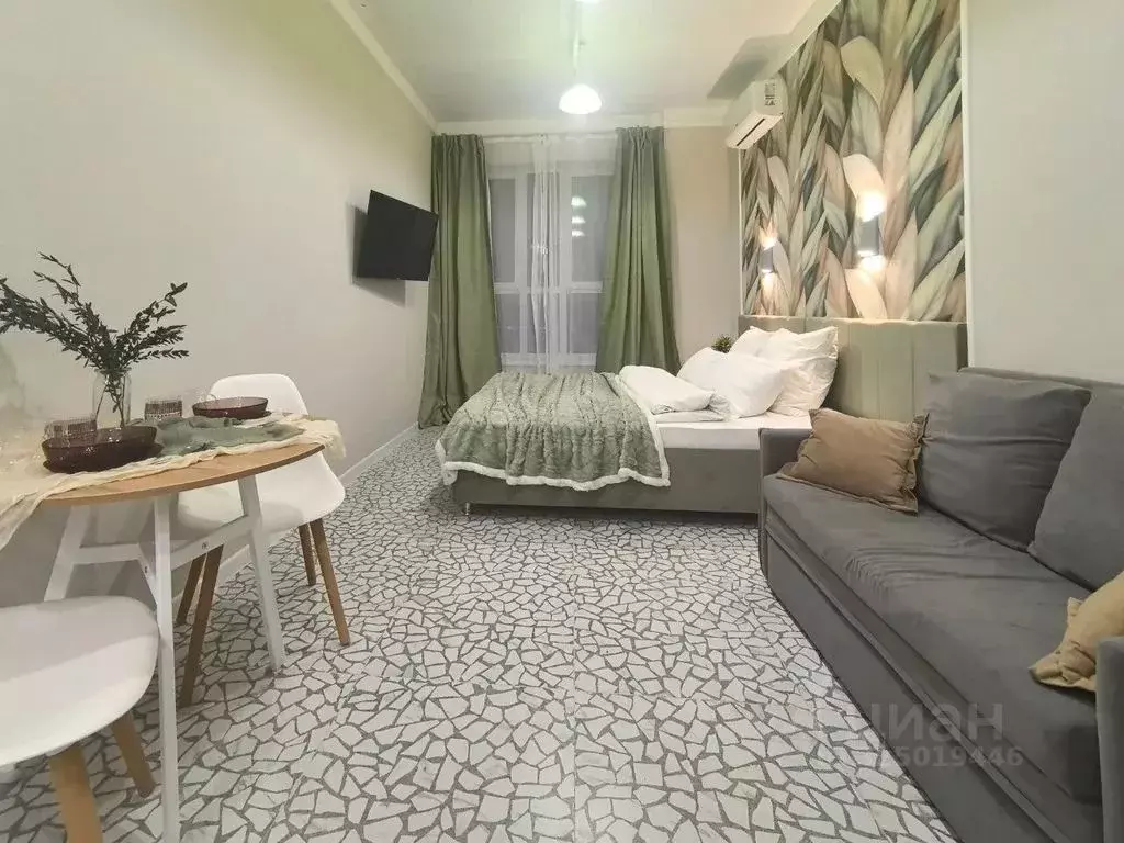 Студия Башкортостан, Уфа ул. Менделеева, 137 (25.0 м) - Фото 1