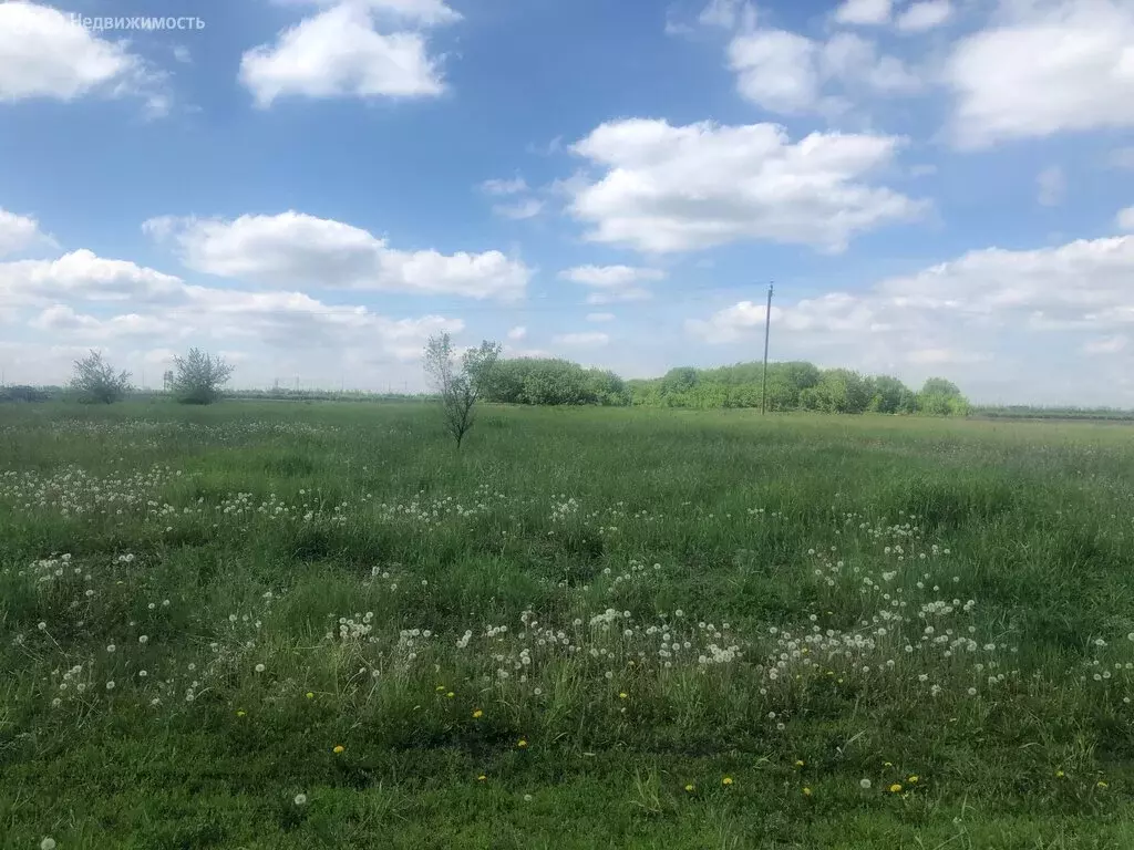 Участок в Новоусманский район, село Рогачёвка (12 м) - Фото 2
