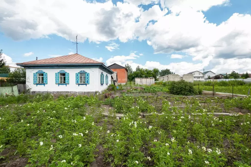 Дом в Новосибирская область, с. Новолуговое ул. Ермака, 4 (48 м) - Фото 0