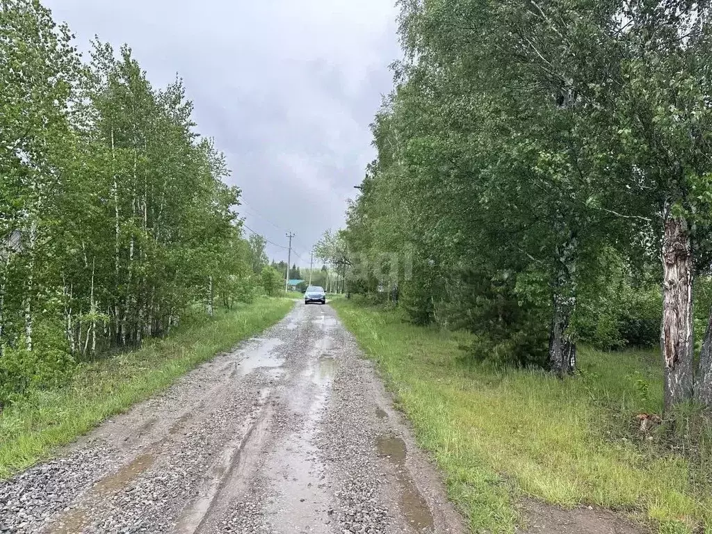 Участок в Свердловская область, Первоуральск муниципальный округ, д. ... - Фото 1