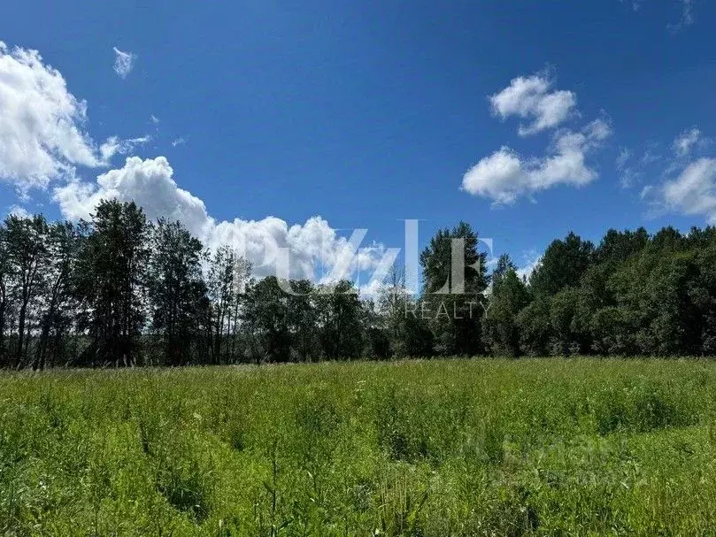 Участок в Владимирская область, Киржачский район, Филипповское ... - Фото 1