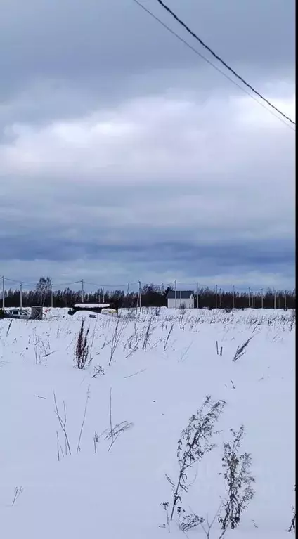 Участок в Костромская область, Кострома Соколиное Гнездо кп, 1 (7.0 ... - Фото 1