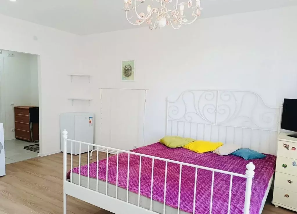 Студия Москва Ижорская ул., 6к2 (22.0 м) - Фото 2