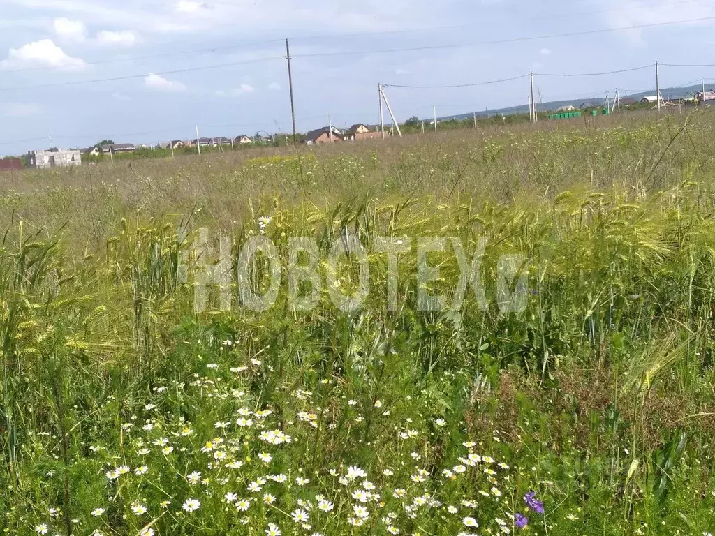 Участок в Краснодарский край, Северский район, Ильское городское ... - Фото 0